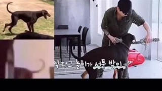 جونگکوک و دوست دخترش در خونه جونگکوک (کپشن)