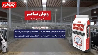 بافر مطمئن و به صرفه ویوان بافر