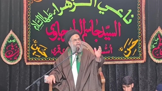 جنود جهل و عقل.مرحوم آیت الله سید عادل علوی