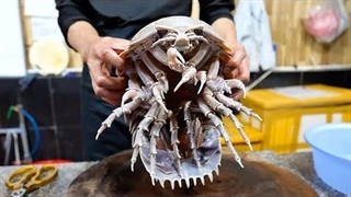 غذای ویتنامی با لابستر هیولا ! - موج کره ای