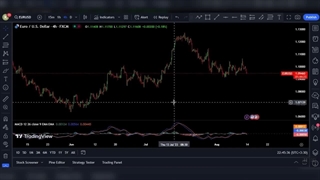 آموزش جامع فیبوناچی و ابزار های مربوط به آن