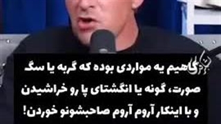 حیوانات خانگی آدم خوار