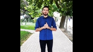 معرفی 3 نوع چوب در مبل سازی; راش، گردو، ممرز