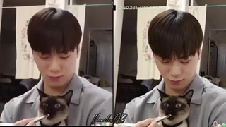 بینی با پیشی های نانازش