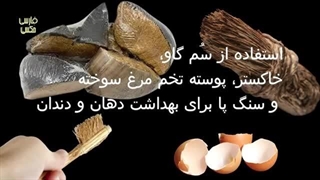 آنچه یک مرد در مصر کشف کرد، مصر را شوکه کرد! چیزهای عجیب وحل نشده که در دل مصر باستان کشف شده اند