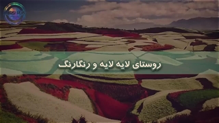 چیزهای عجیبی که فقط در کشور چین پیدا میشه