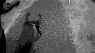 چرا توماس ادیسون به نیکولا تسلا خیانت کرد؟