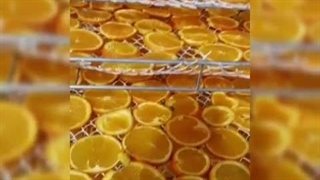 دستگاه خشک کن 500 کیلویی- 09133395543