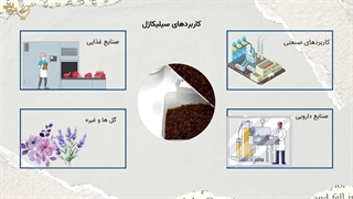 سیلیکاژل چیست و چه کاربردی دارد؟