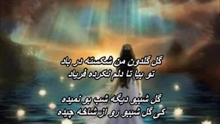 Bikalam - Gole Goldoon // آهنگ بیکلام گل گلدون من