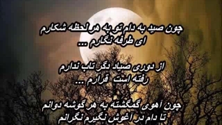 علیرضا افتخاری - صیاد // Alireza Eftekhari - Sayad