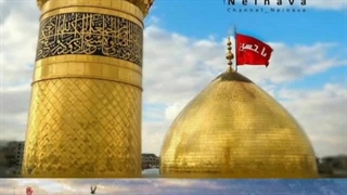 مداحی کربلایی امیر عباس کشت کار