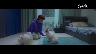 قسمت2 سریال یک روز خوب برای سگ بودن با زیرنویس فارسی A good day to be a dog 2023 با بازی پارک گیو اون ، لی هیون وو ، چا اون وو