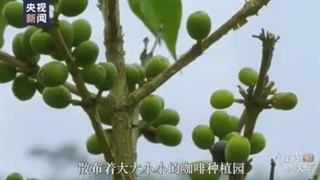 سفیر قهوه رواندا