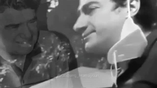 شب در گذشت استاد محمد رضا شجریان