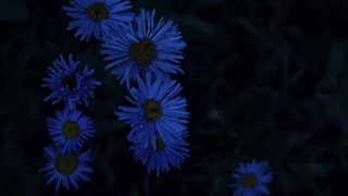 ۱۰۴۳