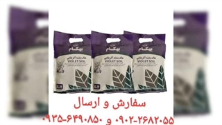 نمایندگی فروش خرید ارسال پخش قیمت عرضه خاک گل آپارتمان بهکام به کام بنفشه آفریقایی بونسای بنسای کوکوپیت زاموفیلیا در اردکان