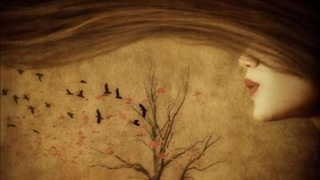 زنگ صدا - راشید Rushid - Zange Seda