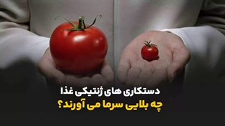 دستکاری های ژنتیکی غذا چه بلایی سر ما می آورند ؟