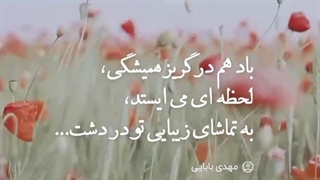 مهدی بابایی ( سوشیانت )