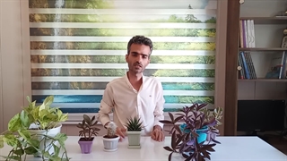 رنگ نور گیاهان آپارتمانی یعنی چی؟