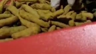 دستگاه آسیاب رومیزی و تیغه ای چابک اسوه 09133395563