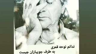 نغمه قمری.مرحوم محمد رضا شجریان