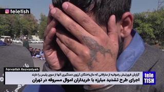 گزارش بدون سانسور از سارقان دستگیر شده