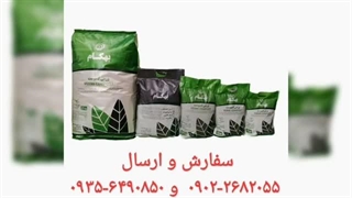 نمایندگی فروش خرید ارسال پخش قیمت عرضه عمده خاک گل آپارتمان بهکام به کام بنفشه آفریقایی بونسای بنسای کوکوپیت زاموفیلیا در چالوس