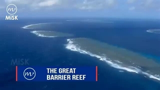 تور استرالیا: کشور دنیایی از زیبایی‌ها و ماجراجویی‌ها