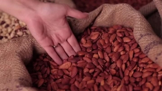 خرید بادام درختی از خشکبار علی گیاهی