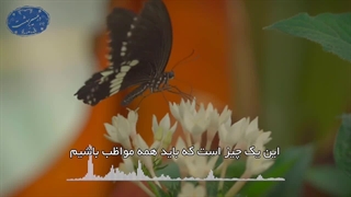 نماز بی‌روح(آیت الله العظمی مظاهری)