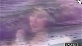 حمیرا (در جستجو)