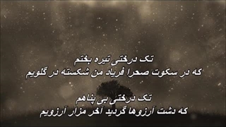 اجرای زنده ترانه تک درختی از بانو پوران / Pouran - Takderakhti پوسیدگی دندان