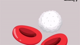 نکات مورد بررسی در آزمایش خون