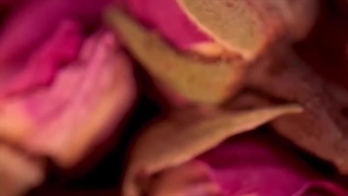 خرید غنچه گل سرخ(گل محمدی) از فروشگاه خشکبار علی گیاهی