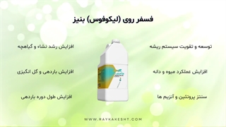 کود فسفر روی (لیکوفوس) رایکا کشت زرین پارس