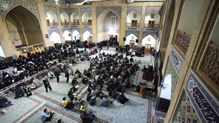 صاحب این حرم عزادارِ خواهر است / زائران این صحن و سرا، در عزای مولایشان شریک‌اند