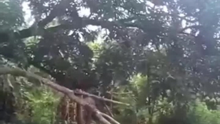 طفلی‌نمیدونه‌که‌میخوان‌چه‌بلای‌سرش‌بیارن