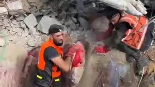 تودنیای‌که‌مادران‌واسه‌بچهالالایی‌میخونن.ببین‌چه‌وحشیهای‌‌این‌کودکان‌روبه‌خواب‌میبرن.لعنت‌به‌سگیونیست