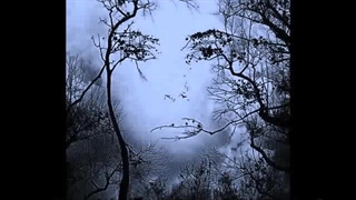 فرهاد دریا ـ گردش چشم سیاه تو خوشم می آید