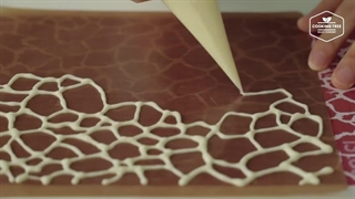 طرز تهیه کیک دو رنگ