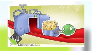آزمایش چربی خون VS