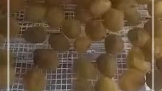 دستگاه خشک کن تونلی 3 متری اسوه 09138900047