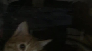 تقدیم به ماندان خونه مامان بزرگم بود آخرین شب