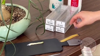 رنگ مو دخترانه طوسی بلیچینگ دندان