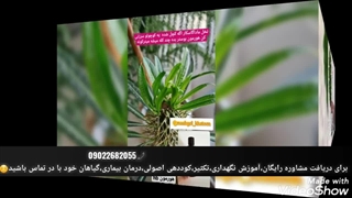 مرکز خرید و فروش قیمت عمده اینترنتی ارسال انواع بهترین کود خاک آماده کاشت مارک مرغوب مناسب گلدان گل گیاه گیاهان آپارتمانی بهکام