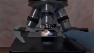 میدونستی داخل نودل چی هست؟؟:)