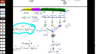 تدریس تنظیم بیان ژن-تمام نکات کنکور و آزمون ها-دکتر مهدی محمد حسین زاده تزریق ژل