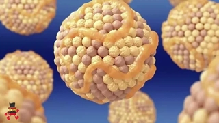 آلزایمر چیست ؟